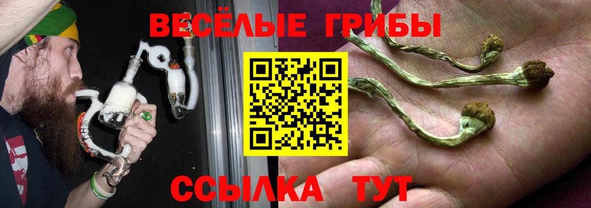 Галлюциногенные грибы Cubensis  Вход с VPN  Псилоцибиновые грибы ЛСД  Борисоглебск 